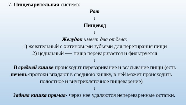 7. Пищеварительная система: Рот ↓ Пищевод ↓ Желудок имеет два отдела: 1) жевательный с хитиновыми зубьями для перетирания пищи 2) цедильный -— пища переваривается и фильтруется ↓ В средней кишке происходит переваривание и всасывание пищи (есть печень -протоки впадают в среднюю кишку, в ней может происходить полостное и внутриклеточное пищеварение) ↓ Задняя кишка прямая- через нее удаляются непереваренные остатки. 