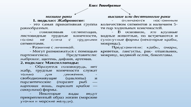 Класс Ракообразные 