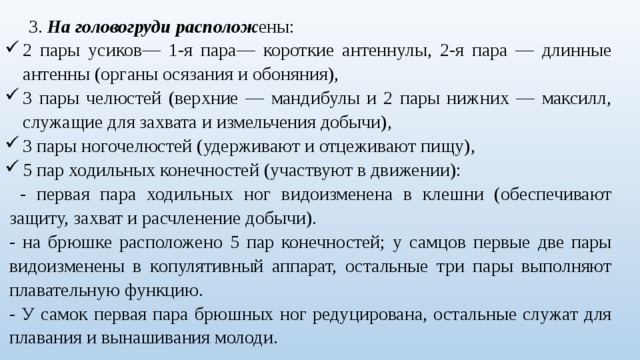 3. На головогруди располож ены: 2 пары усиков— 1-я пара— короткие антеннулы, 2-я пара — длинные антенны (органы осязания и обоняния), 3 пары челюстей (верхние — мандибулы и 2 пары нижних — максилл, служащие для захвата и измельчения добычи), 3 пары ногочелюстей (удерживают и отцеживают пищу), 5 пар ходильных конечностей (участвуют в движении):  - первая пара ходильных ног видоизменена в клешни (обеспечивают защиту, захват и расчленение добычи). - на брюшке расположено 5 пар конечностей; у самцов первые две пары видоизменены в копулятивный аппарат, остальные три пары выполняют плавательную функцию. - У самок первая пара брюшных ног редуцирована, остальные служат для плавания и вынашивания молоди. 