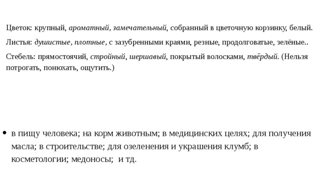 Цветок: крупный, ароматный, замечательный , собранный в цветочную корзинку, белый. Листья: душистые,  плотные, с зазубренными краями, резные, продолговатые, зелёные.. Стебель: прямостоячий, стройный , шершавый , покрытый волосками, твёрдый . (Нельзя потрогать, понюхать, ощутить.) в пищу человека; на корм животным; в медицинских целях; для получения масла; в строительстве; для озеленения и украшения клумб; в косметологии; медоносы; и тд. 