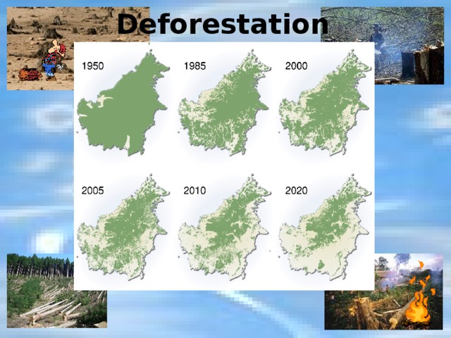 Deforestation 