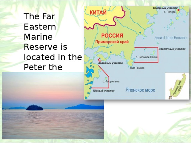 The Far Eastern Marine Reserve is located in the Peter the Great Bay, part of the Sea of Japan. 