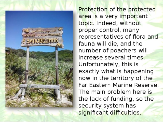 Protection of the protected area is a very important topic. Indeed, without proper control, many representatives of flora and fauna will die, and the number of poachers will increase several times. Unfortunately, this is exactly what is happening now in the territory of the Far Eastern Marine Reserve. The main problem here is the lack of funding, so the security system has significant difficulties. 