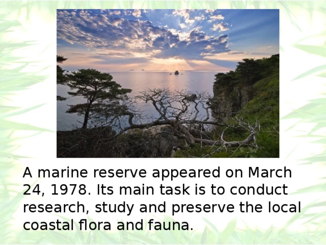 A marine reserve appeared on March 24, 1978. Its main task is to conduct research, study and preserve the local coastal flora and fauna. 