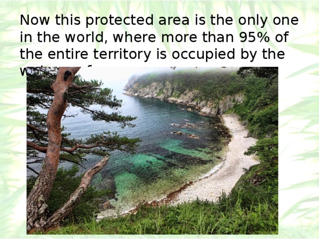 Now this protected area is the only one in the world, where more than 95% of the entire territory is occupied by the water surface. 