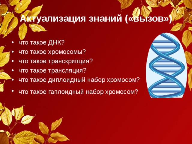 Актуализация знаний («вызов») что такое ДНК? что такое хромосомы? что такое транскрипция? что такое трансляция? что такое диплоидный набор хромосом? что такое гаплоидный набор хромосом?  