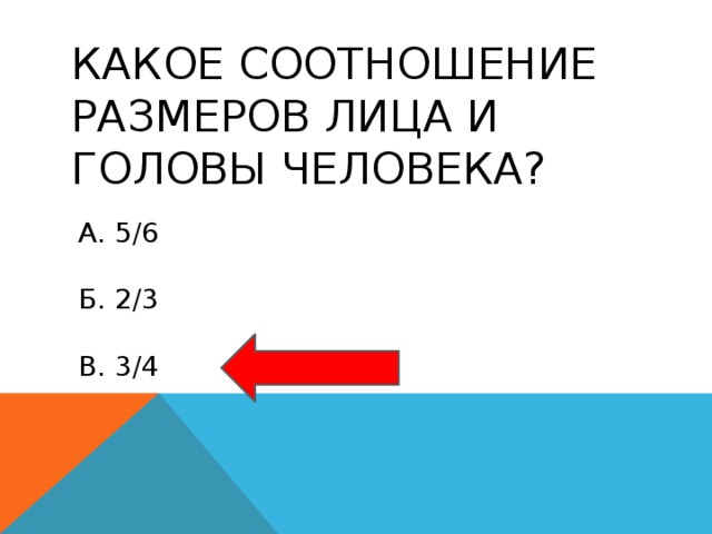 Какое соотношение размеров лица и головы человека? а. 5/6 б. 2/3 в. 3/4 