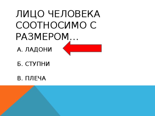 Лицо человека соотносимо с размером… а. ладони б. ступни в. плеча 