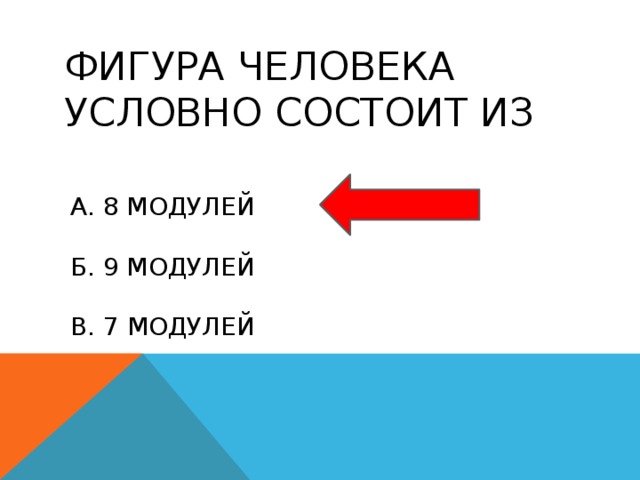 Фигура человека условно состоит из а. 8 модулей б. 9 модулей в. 7 модулей 