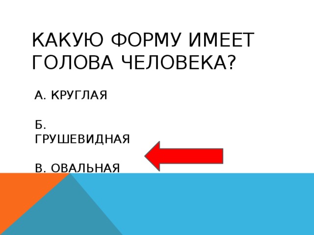 Какую форму имеет голова человека? а. круглая б. грушевидная в. овальная 