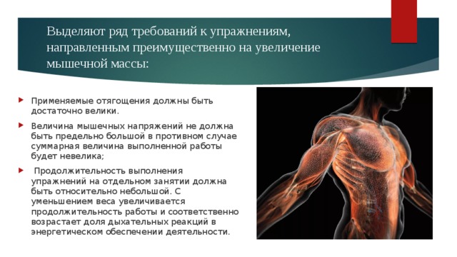 Повышение мышечной. Упражнения для увеличения мышечной массы. Требования к упражнениям направленным на увеличение массы тела. Усиление напряжения мышц. Назовите требования к упражнениям направленным на увеличение массы.