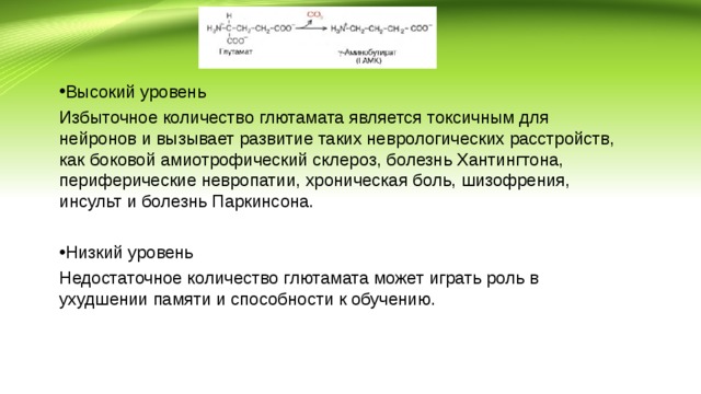 Высокий уровень Избыточное количество глютамата является токсичным для нейронов и вызывает развитие таких неврологических расстройств, как боковой амиотрофический склероз, болезнь Хантингтона, периферические невропатии, хроническая боль, шизофрения, инсульт и болезнь Паркинсона. Низкий уровень Недостаточное количество глютамата может играть роль в ухудшении памяти и способности к обучению. 