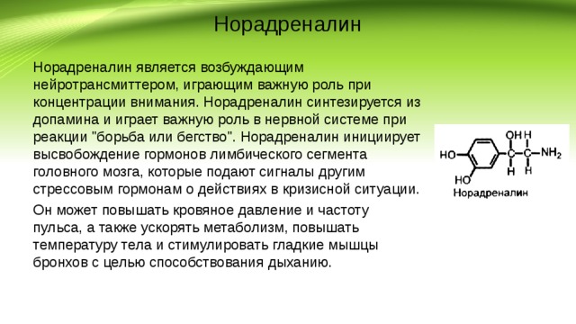 Норадреналин это простыми словами. Функции норадреналина биохимия. Норадреналин синтещируеь. Норадреналин синтезируется. Норадреналин нейромедиатор функции.