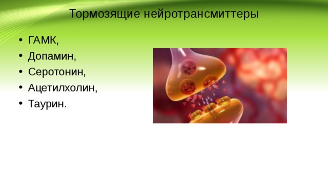 Тормозящие нейротрансмиттеры ГАМК, Допамин, Серотонин, Ацетилхолин, Таурин. 