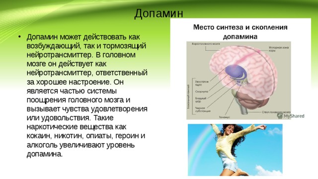 Допамин Допамин может действовать как возбуждающий, так и тормозящий нейротрансмиттер. В головном мозге он действует как нейротрансмиттер, ответственный за хорошее настроение. Он является частью системы поощрения головного мозга и вызывает чувства удовлетворения или удовольствия. Такие наркотические вещества как кокаин, никотин, опиаты, героин и алкоголь увеличивают уровень допамина.   