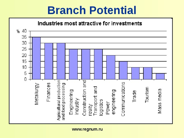 Branch Potential www.regnum.ru 