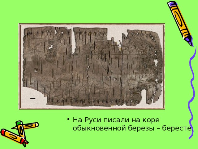 На Руси писали на коре обыкновенной березы – бересте. 
