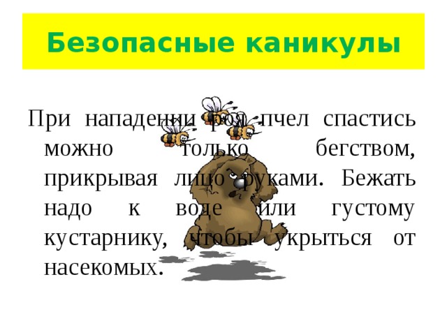 Безопасные каникулы При нападении роя пчел спастись можно только бегством, прикрывая лицо руками. Бежать надо к воде или густому кустарнику, чтобы укрыться от насекомых. 