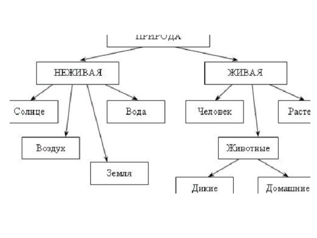 Тех карта живая и неживая природа