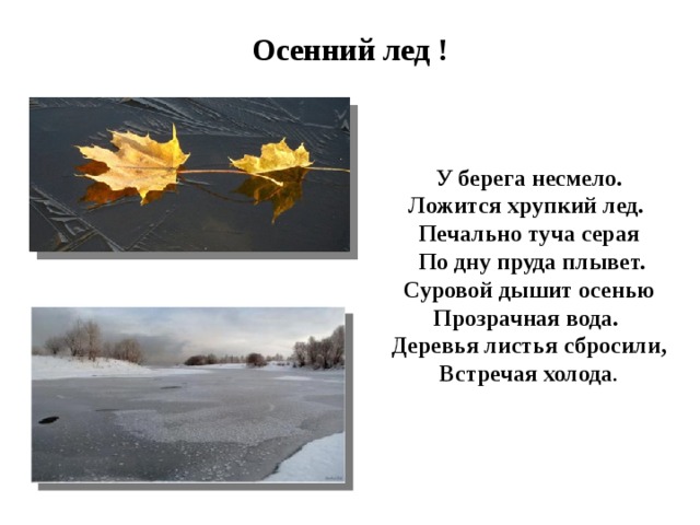 Осенний лед ! У берега несмело. Ложится хрупкий лед. Печально туча серая  По дну пруда плывет. Суровой дышит осенью Прозрачная вода. Деревья листья сбросили, Встречая холода .