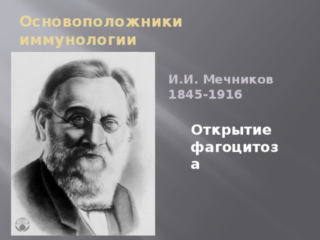 Основоположники иммунологии И.И.  Мечников 1845-1916 Открытие фагоцитоза