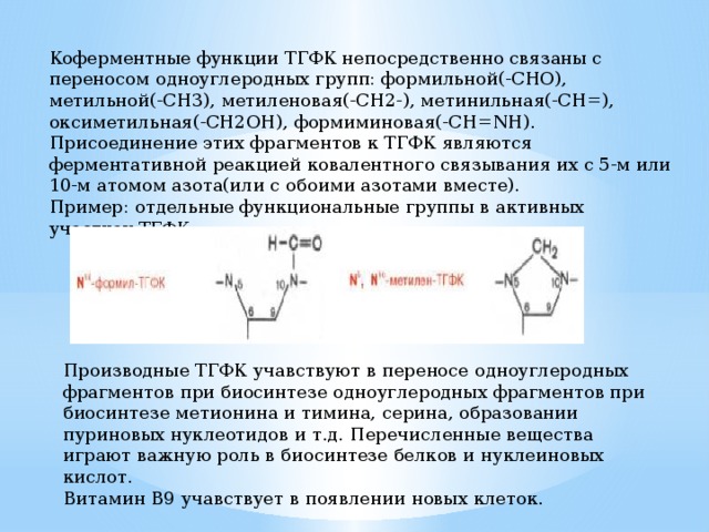 Коферментные функции ТГФК непосредственно связаны с переносом одноуглеродных групп: формильной(-CHO), метильной(-CH3), метиленовая(-CH2-), метинильная(-CH=), оксиметильная(-CH2OH), формиминовая(-CH=NH). Присоединение этих фрагментов к ТГФК являются ферментативной реакцией ковалентного связывания их с 5-м или 10-м атомом азота(или с обоими азотами вместе). Пример: отдельные функциональные группы в активных участках ТГФК. Производные ТГФК учавствуют в переносе одноуглеродных фрагментов при биосинтезе одноуглеродных фрагментов при биосинтезе метионина и тимина, серина, образовании пуриновых нуклеотидов и т.д. Перечисленные вещества играют важную роль в биосинтезе белков и нуклеиновых кислот. Витамин В9 учавствует в появлении новых клеток. 