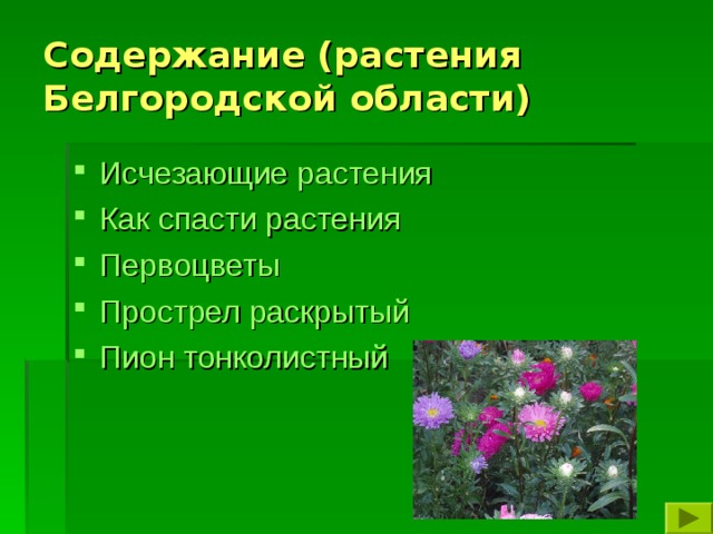 Содержание (растения Белгородской области) Исчезающие растения Как спасти растения Первоцветы Прострел раскрытый Пион тонколистный     