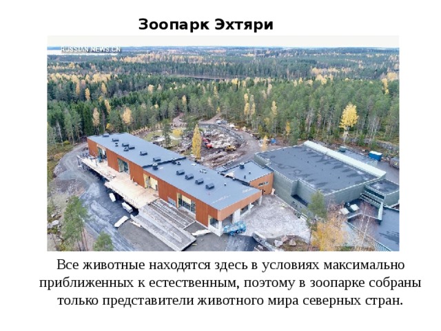 Зоопарк Эхтяри Все животные находятся здесь в условиях максимально приближенных к естественным, поэтому в зоопарке собраны только представители животного мира северных стран. 