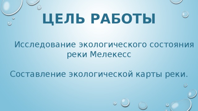 ЦЕЛЬ РАБОТЫ  Исследование экологического состояния реки Мелекесс Составление экологической карты реки. 