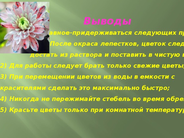 Выводы  Главное-придерживаться следующих правил:  1) После окраса лепестков, цветок следует  достать из раствора и поставить в чистую воду; 2) Для работы следует брать только свежие цветы; 3) При перемещении цветов из воды в емкости с красителями сделать это максимально быстро; 4) Никогда не пережимайте стебель во время обрезки; 5) Красьте цветы только при комнатной температуре . 