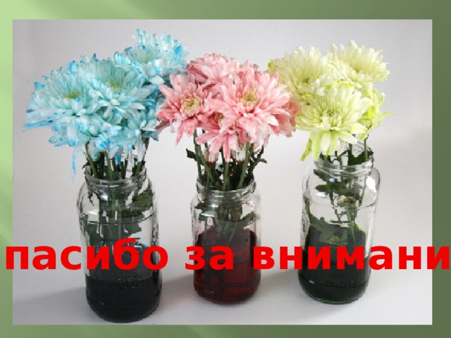 Спасибо за внимание 