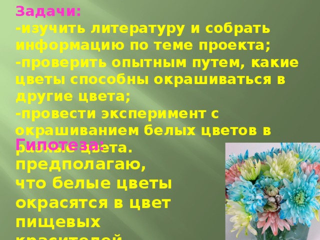 Задачи: -изучить литературу и собрать информацию по теме проекта; -проверить опытным путем, какие цветы способны окрашиваться в другие цвета; -провести эксперимент с окрашиванием белых цветов в разные цвета. Гипотеза: предполагаю, что белые цветы окрасятся в цвет пищевых красителей. 