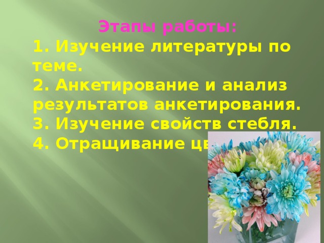 Этапы работы: 1. Изучение литературы по теме. 2. Анкетирование и анализ результатов анкетирования. 3. Изучение свойств стебля. 4. Отращивание цветов.  