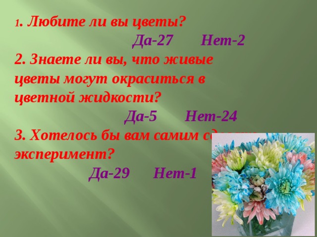 1 . Любите ли вы цветы?  Да-27 Нет-2 2. Знаете ли вы, что живые цветы могут окраситься в цветной жидкости?  Да-5 Нет-24 3. Хотелось бы вам самим сделать эксперимент?  Да-29 Нет-1 