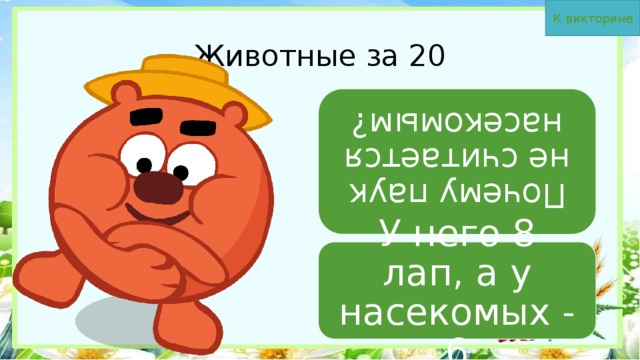 К викторине Почему паук не считается насекомым? Животные за 20 У него 8 лап, а у насекомых - 6 
