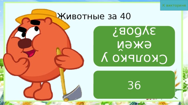 К викторине Сколько у ежей зубов? Животные за 40 36 