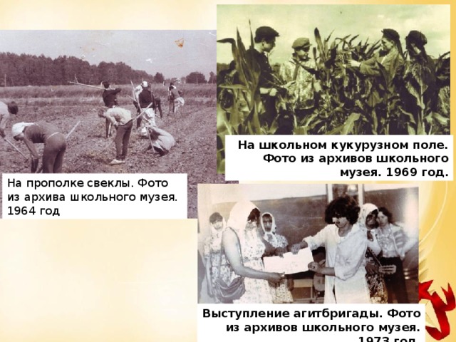 На школьном кукурузном поле. Фото из архивов школьного музея. 1969 год. На прополке свеклы. Фото из архива школьного музея. 1964 год Выступление агитбригады. Фото из архивов школьного музея. 1973 год.