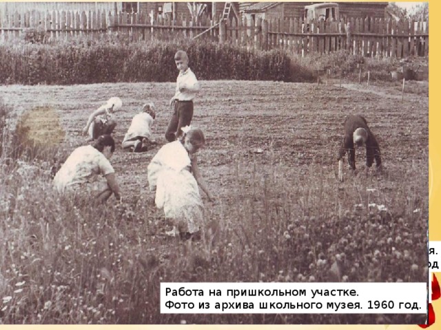Киномеханик школьного кинотеатра «Космос» Фомичев Витя. Фото из архива школьного музея. 1975 год На уборке картофеля. Фото из архива школьного музея. 1954 год Работа на пришкольном участке. Фото из архива школьного музея. 1960 год.