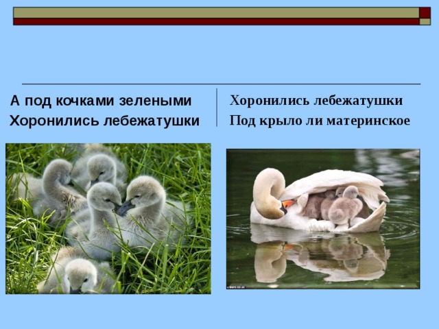 Есенин Лебёдушка