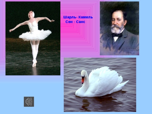 сен санс лебедь