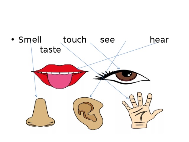 See hear feel. See hear smell taste Touch. See smell hear Touch taste for Kids. Hear see smell taste Touch Worksheets. Senses картинка для детей.