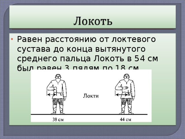 Равен расстоянию от локтевого сустава до конца вытянутого среднего пальца Локоть в 54 см был равен 3 пядям по 18 см.  