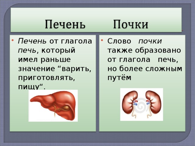 Печень от глагола печь , который имел раньше значение “варить, приготовлять, пищу“.  Слово   почки также образовано от глагола печь, но более сложным путём  