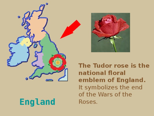The Tudor rose is the national floral emblem of England. It symbolizes the end of the Wars of the Roses. England  