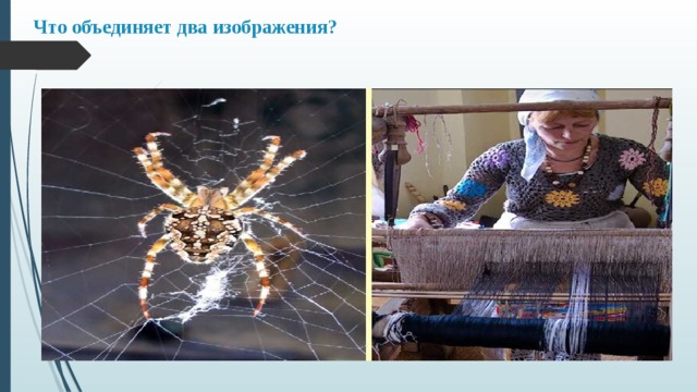  Что объединяет два изображения? 