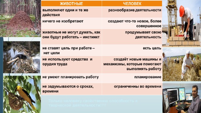 Только человеку свойственна способность к творческой деятельности!!!! 