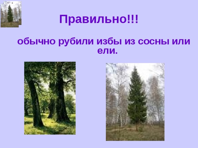 Правильно!!! обычно рубили избы из сосны или ели.   