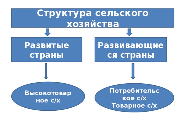 Структура сельского хозяйства Развитые страны Развивающиеся страны Высокотоварное с/х Потребительское с/х Товарное с/х 
