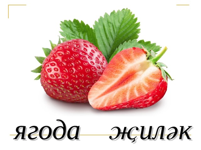 ягода җиләк 