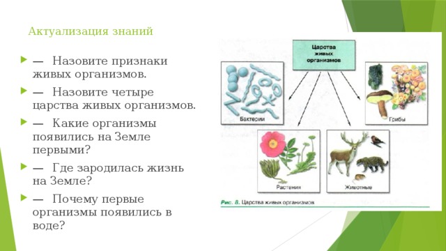 Какие организмы появляются. Назови признаки живого. Назовите признаки живых организмов. Признаки не живых организмов. Первый живой организм называется:.